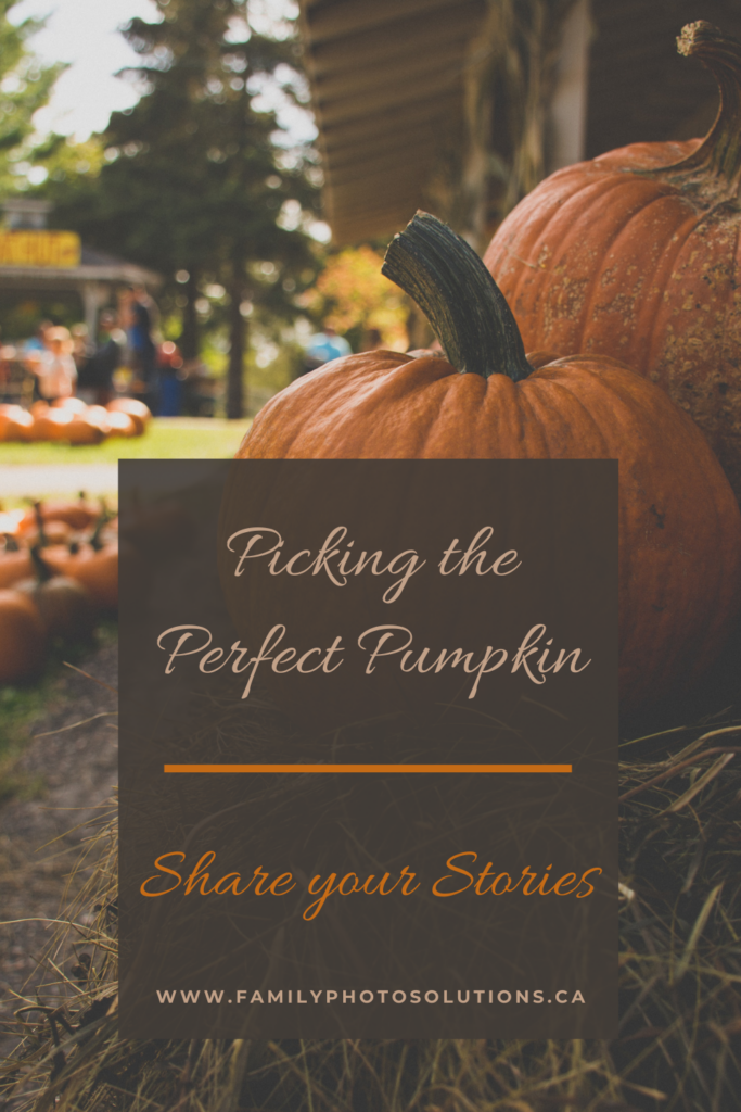 Picking the Perfect Pumpkin